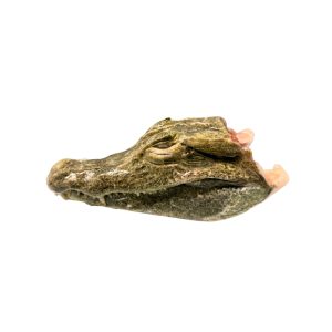 鱷魚頭