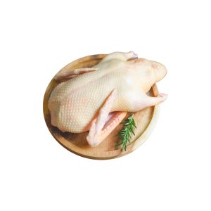鴨肉塊