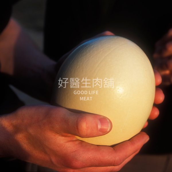 鴕鳥蛋：圖片 7