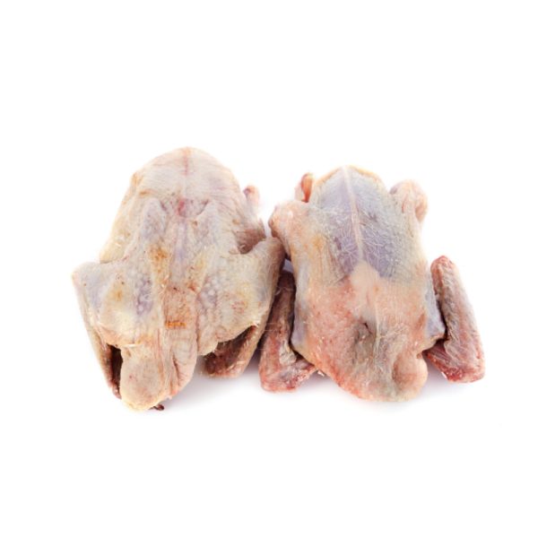 鴿子肉一隻