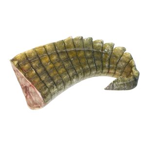 生鱷魚尾1500g