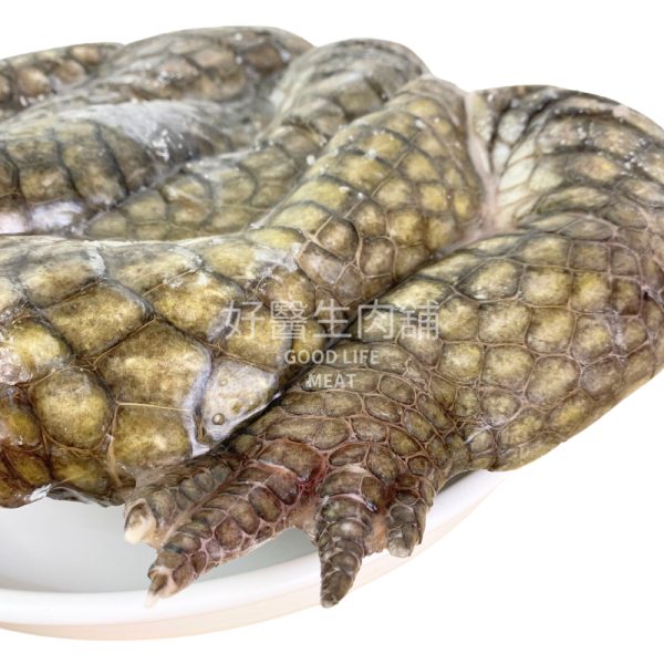 整包鱷魚腿：圖片 2